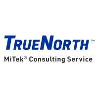 truenorth consulting logo image