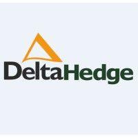 deltahedge logo image