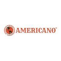 americano foods logo image