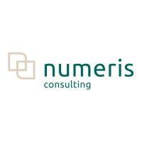 numeris consulting logo image