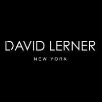 david lerner ny logo image