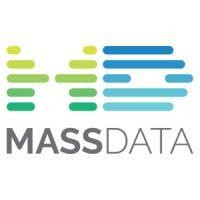 mass data digital consulting logo image