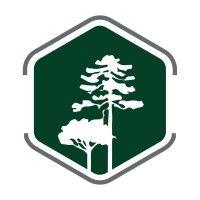 sierra tree company logo image