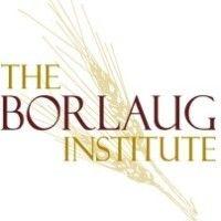 borlaug institute for international agriculture logo image