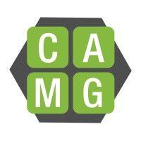 consumer attorney marketing group, inc. (camg)