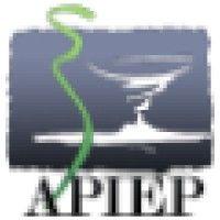 apiep logo image