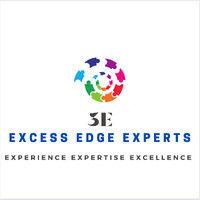 excess edge experts consulting logo image