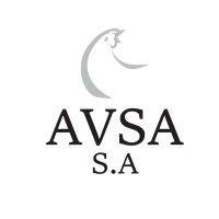 avsa s.a. logo image