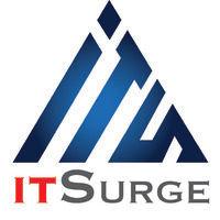 it surge logo image