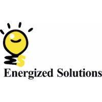 energized solutions india private limited