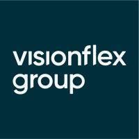 visionflex group logo image