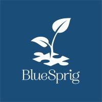 bluesprig - formerly thrive autism solutions logo image