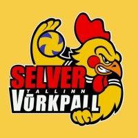 vk selver tallinn logo image