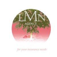 lmn agency logo image