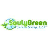 soulygreen consulting, llc logo image