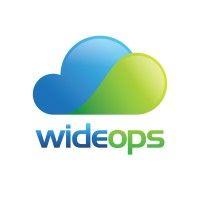 wideops ltd logo image