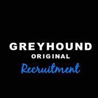 greyhound original logo image