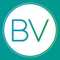 brandverge logo image