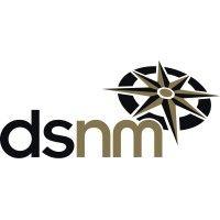 dsnm ltd logo image