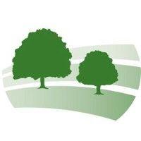 wealden district council logo image