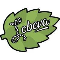 lobeva enterprises inc. logo image