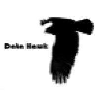 data hawk logo image