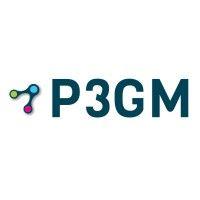 p3 global management inc. logo image