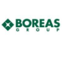 boreas group llc logo image