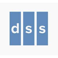 diversified storage solutions, inc. [dss] logo image