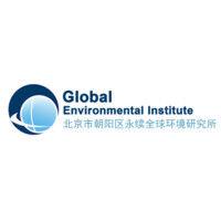 global environmental institute logo image