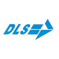 dls - diligence location & services logo image