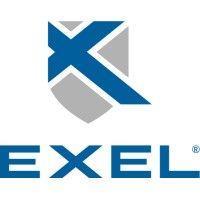 exel computer systems plc