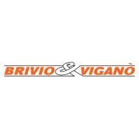 brivio & viganò logo image