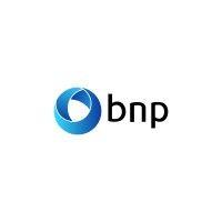 bnp - soluções em ti logo image