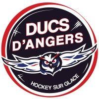 les ducs d'angers logo image