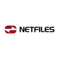 netfiles gmbh logo image