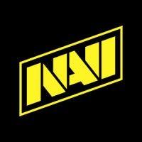 natus vincere logo image