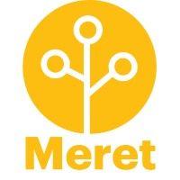 meret solutions logo image