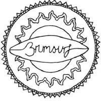 brumsurf logo image