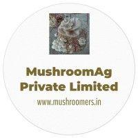 mushroomag private limited logo image