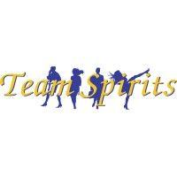 team spirits logo image