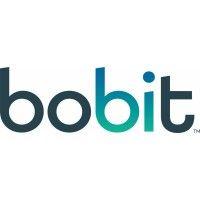 bobit logo image