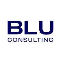 blu consulting (pr, network and comms) logo image