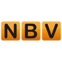 nbv enterprise solutions ltd logo image