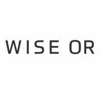 wiseor logo image