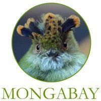 mongabay.org logo image