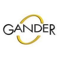 gander organizers logo image