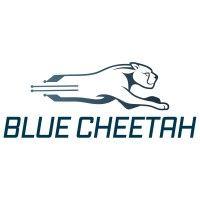 blue cheetah analog design, inc. logo image