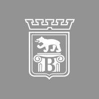 bellevue palace bern logo image