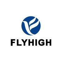 flyhigh group, inc. logo image